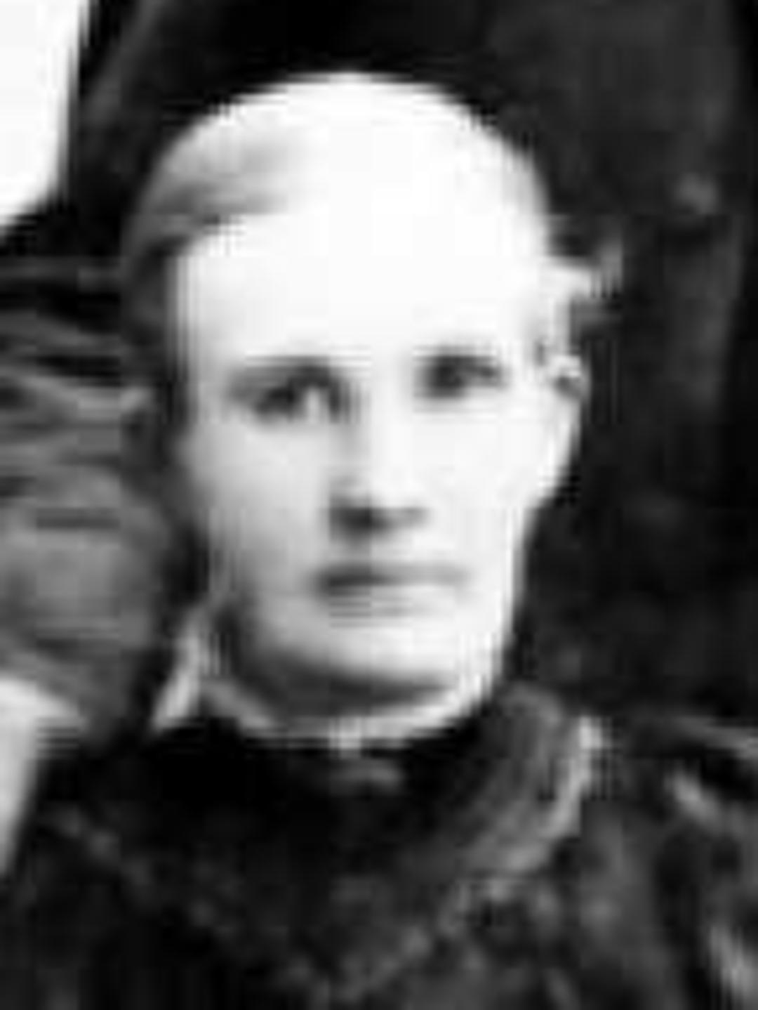 Margaret Callender Gardner (1842 - 1920) Profile